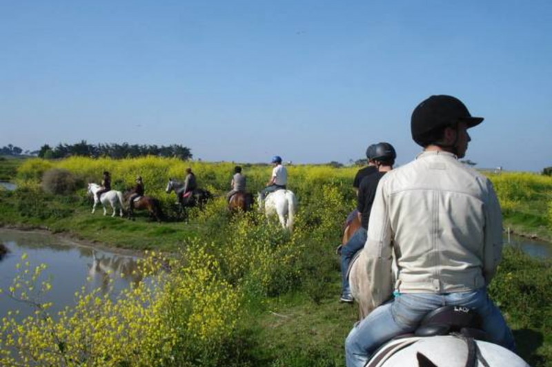 Balade cheval Marais de Lyarne Les Moutiers en Retz