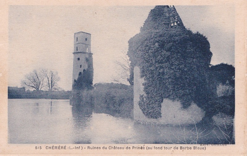 CHATEAU DE PRINCE - CHAUMEs