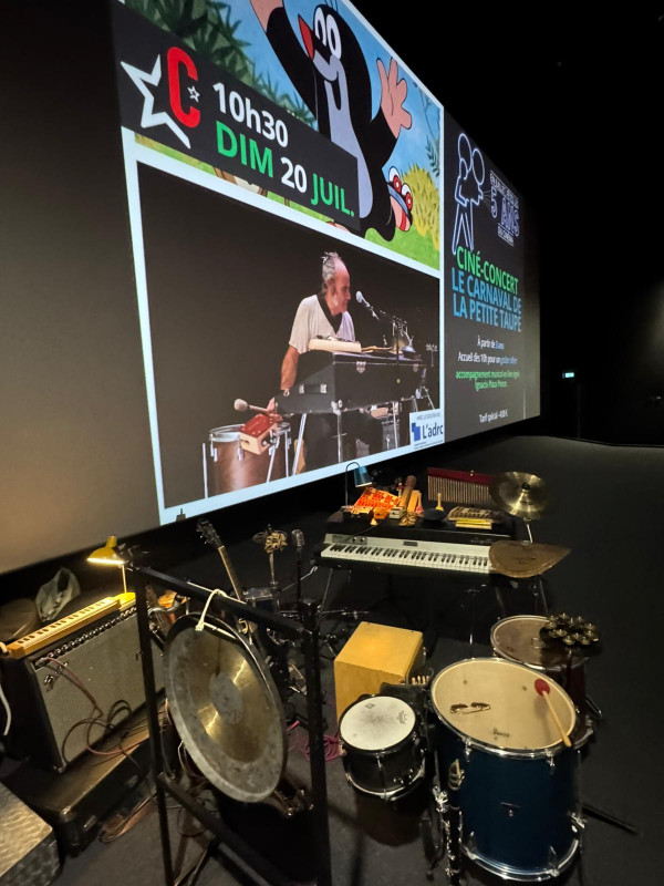 Ciné Toiles de Retz Pornic Ciné concert