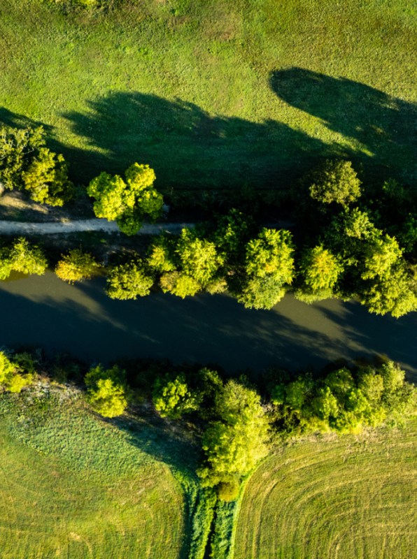 Circuit de la Pierre Tremblante vu du ciel