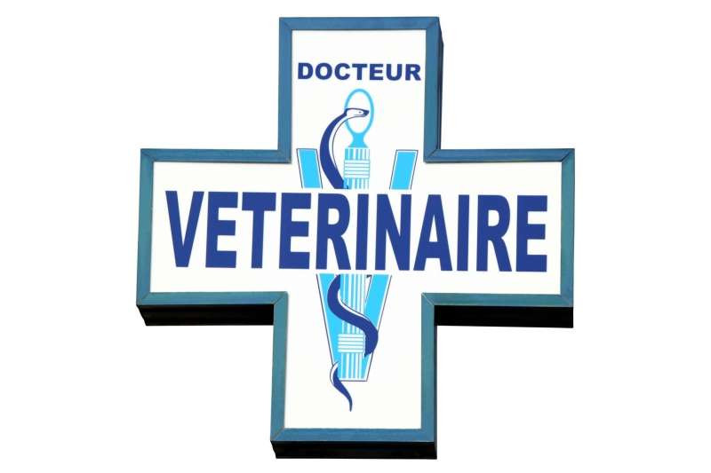 Clinique Vétérinaire Vetoptimum