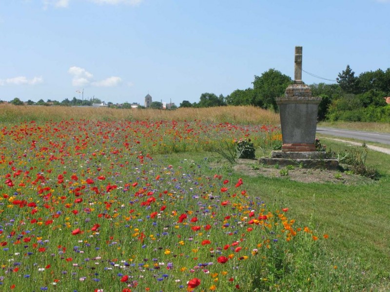 Das Kreuz Saint-Étienne