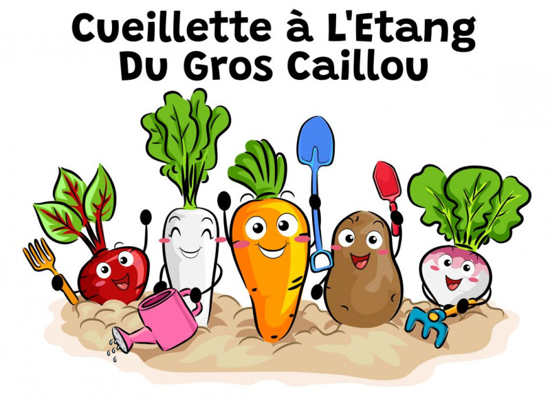 CUEILLETTE A L'ETANG DU GROS CAILLOU, fruits bio, légumes bio, fleurs, fraises