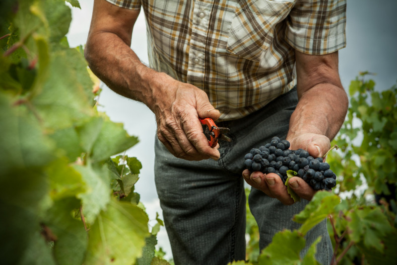 Domaine Eric Chevalier