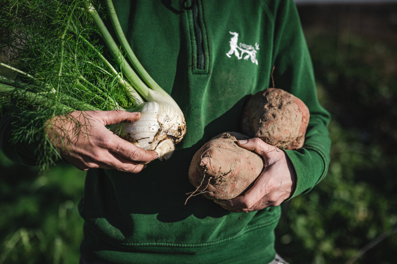 visite ferme enfants, visite ferme pornic, visite ferme ecodomaine la fontaine, tisane jardin pornic, visite enfant destination pornic, visite nature