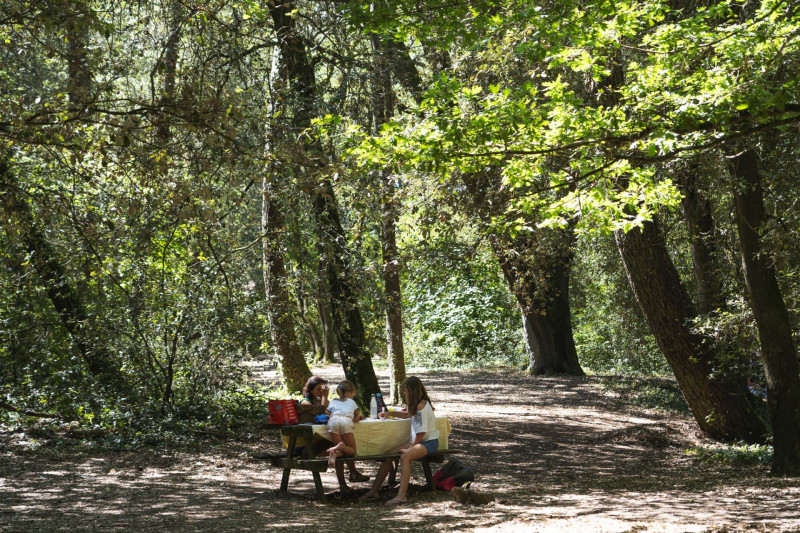 Parcours découverte, Bois Roy, Saint-Michel-Chef-Chef,Tharon-Plage