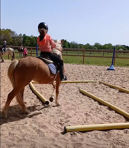 Equifun au centre