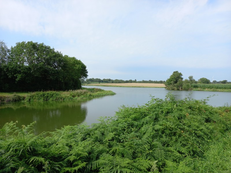 Etang de la Beusse à Sainte Pazanne