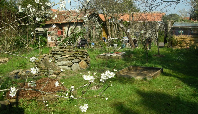 Jardin naturel Hirondelle
