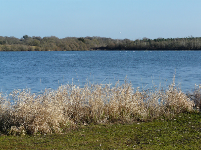 Fishing at the Gâtineaux pond in Saint-Michel Chef-Chef