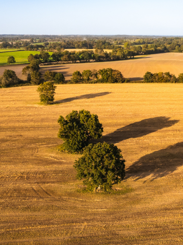 The countryside in Saint-Hilaire-de-Chaléons