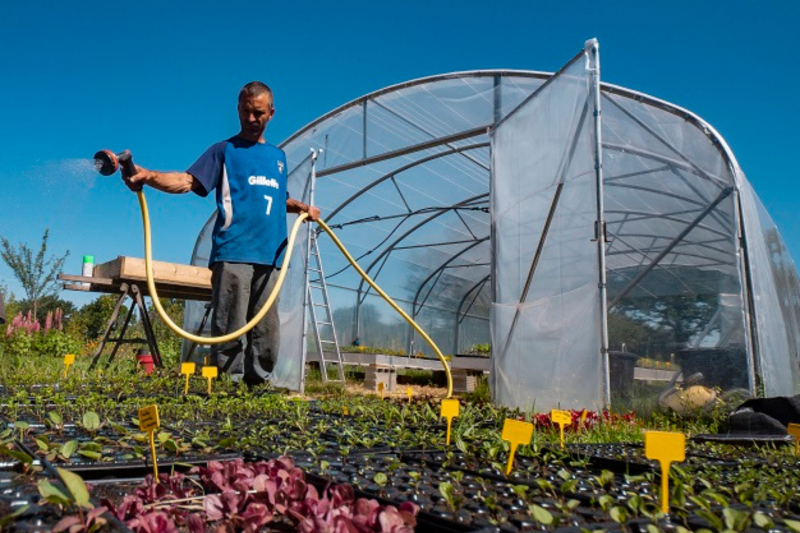 La Ferme à Cultures Bio-Gemüse Pornic