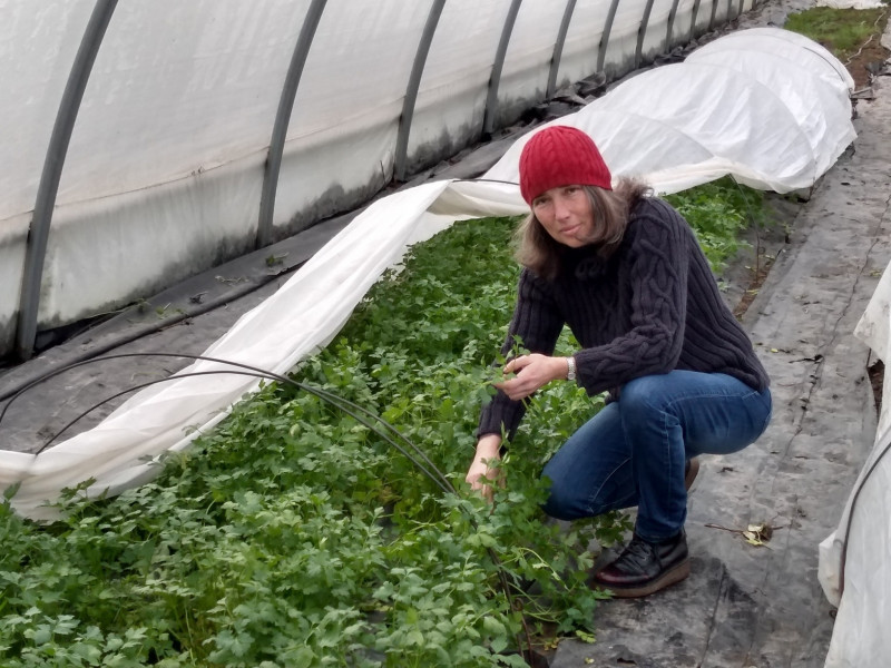 Mauds Bauernhof les saveurs du verger Chauvé pornic	