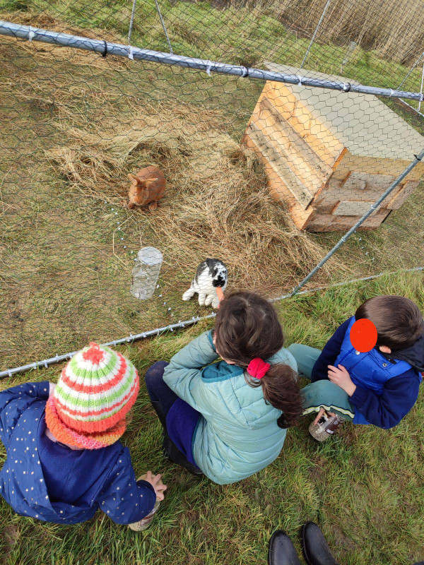 La ferme Les Poulettes du Marais ferme pédagogique