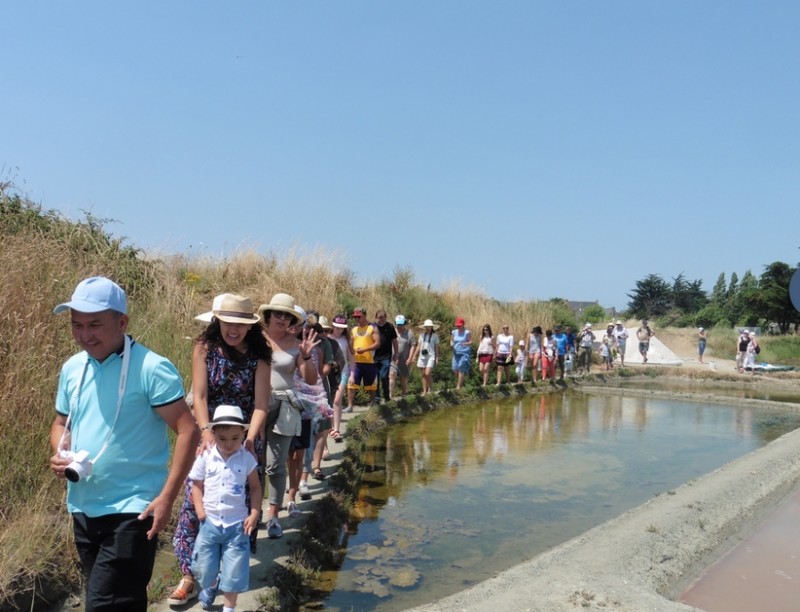 LA MAISON DES PALUDIERS GUERANDE SAILLE