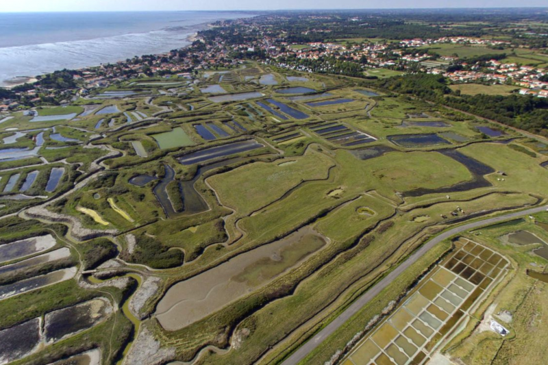 lyarne marshes moutiers	