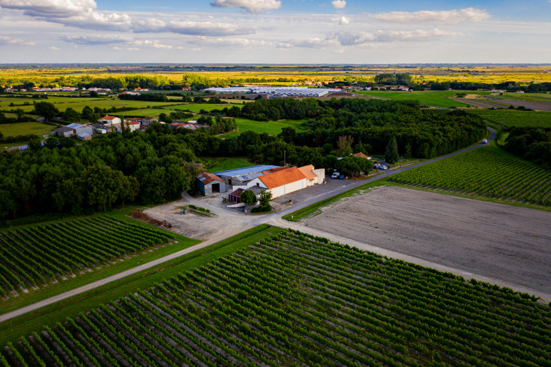 Le Moulin de la Touche Bourgneuf en Retz Villeneuve en Retz	