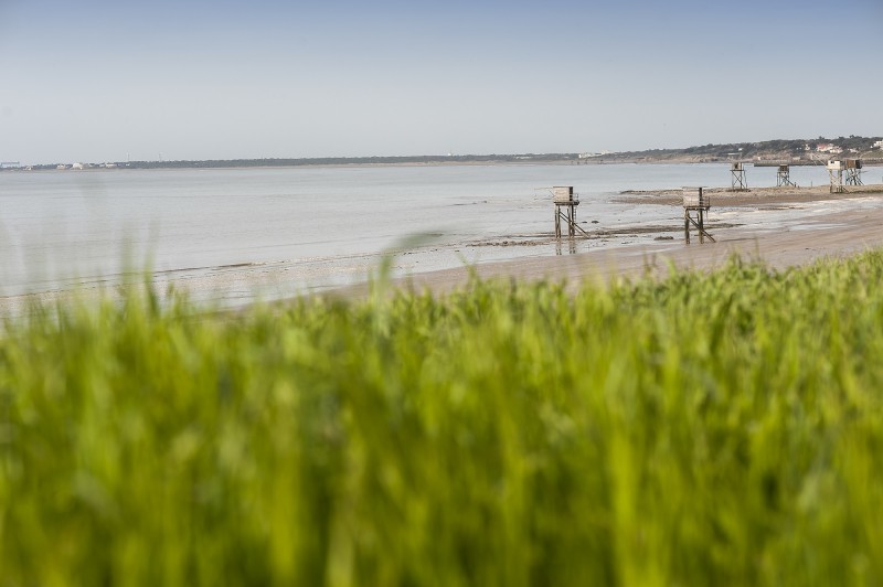 restaurant, le petit mousse, la plaine sur Mer