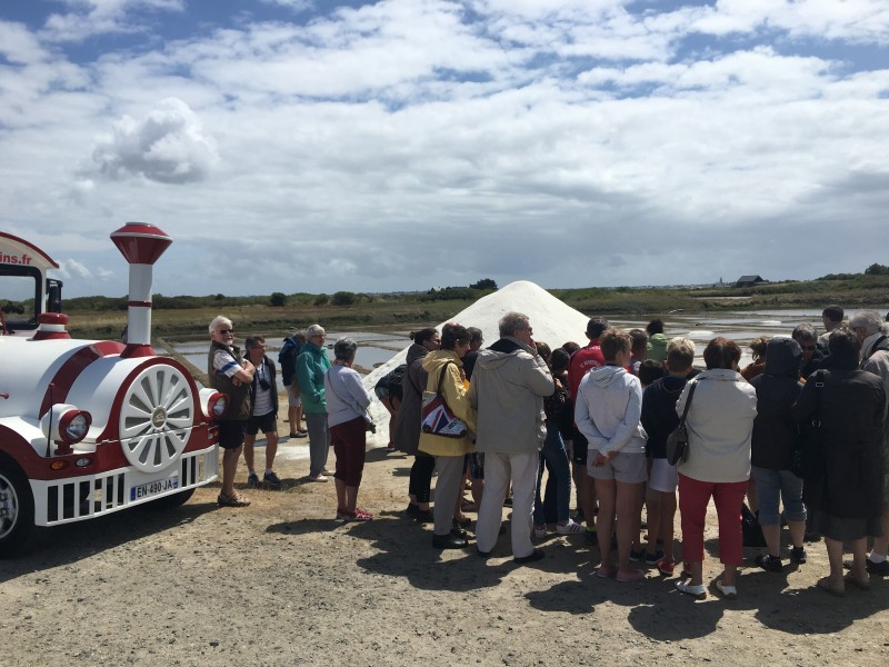 Le Petit Train des Marais Salants, guérande, sel, brière