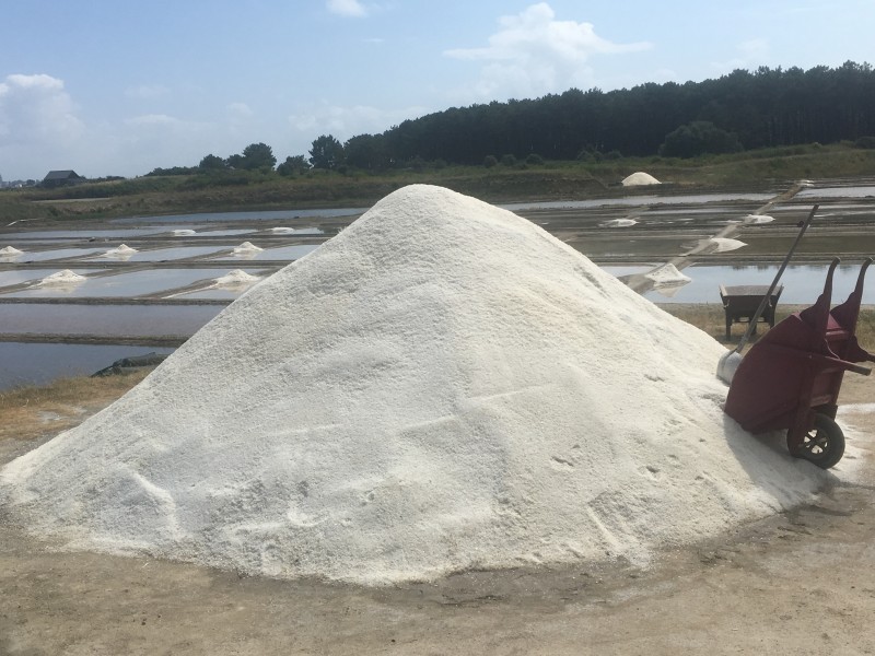 Le Petit Train des Marais Salants, guérande, sel, brière