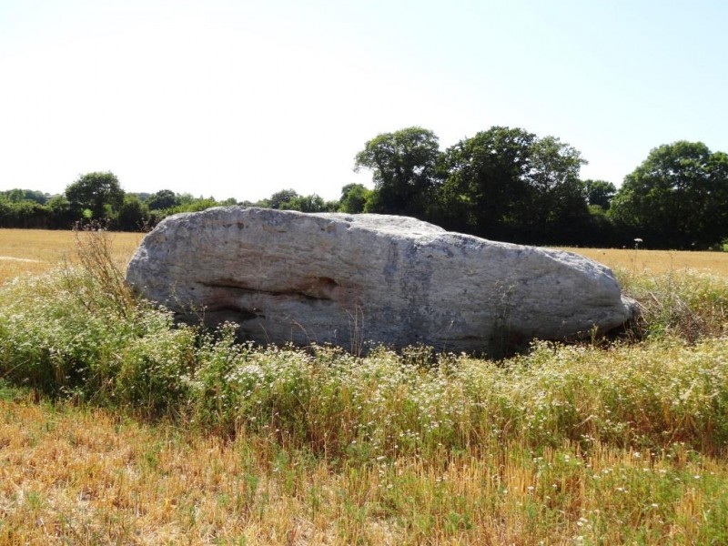 le rocher pierre de la martine menhir site neolithique prehistoire patrimoine culturel histoire chauvé pays de retz