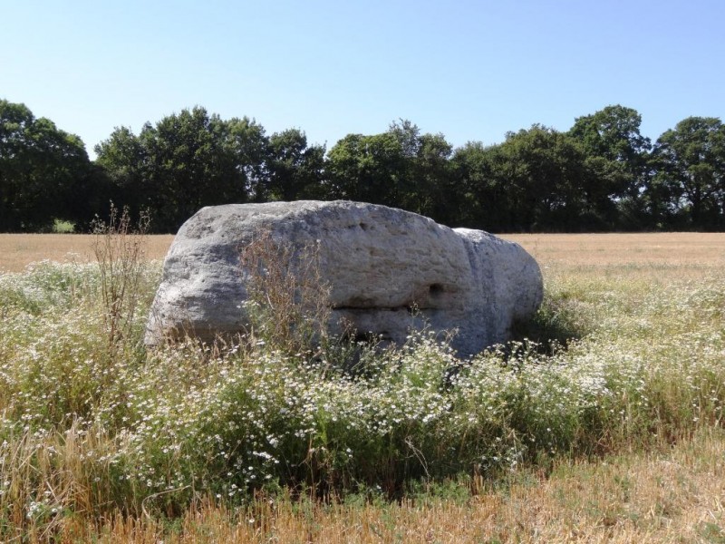 le rocher pierre de la martine menhir site neolithique prehistoire patrimoine culturel histoire chauvé pays de retz