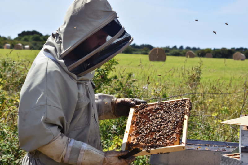 The Fontaine au miel apiary Miellerie Miel du Pays de Retz Pornic