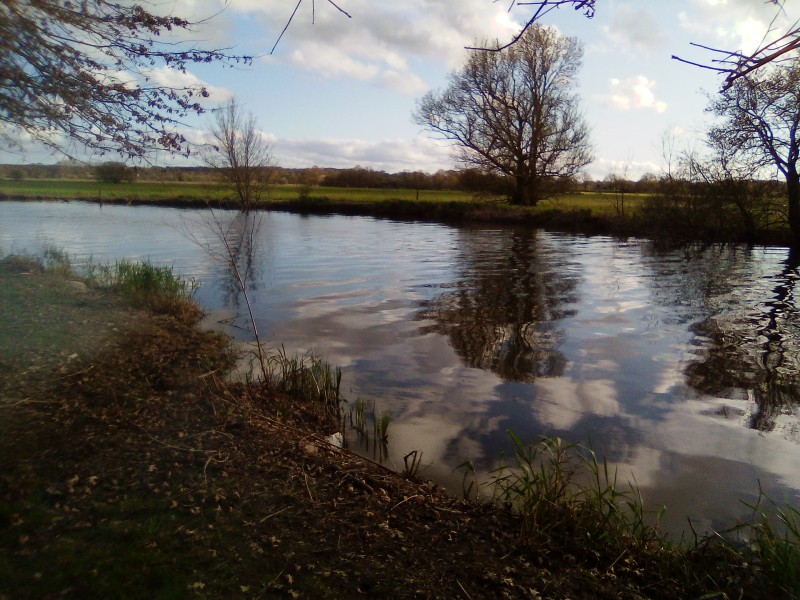 Les bords de l'Acheneau à Cheix en Retz