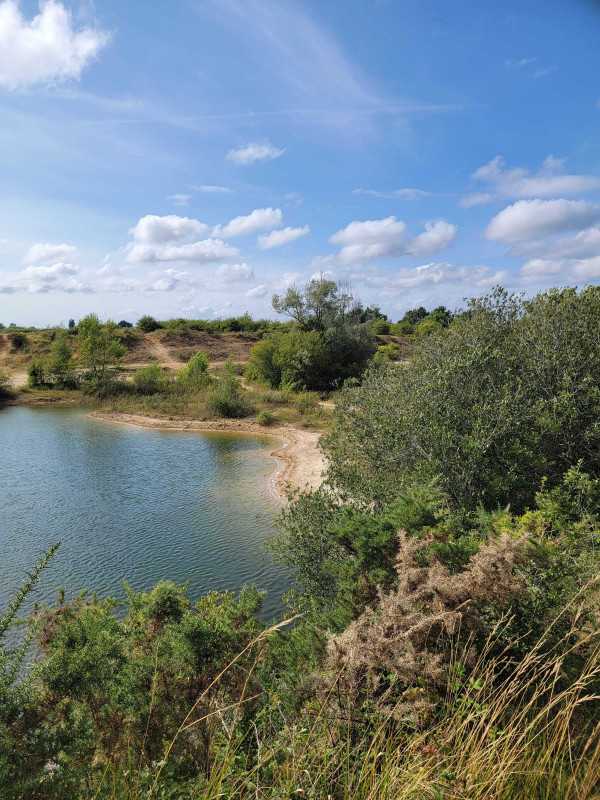 steinbruch, steinbrüche von arthon, naturstandort chaumes, idee für einen spaziergang chaumes en retz, naturraum, wasserstelle, spaziergang, wanderung, rthon en retz, chaumes en re