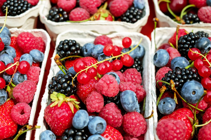 Les Petits Fruits de la Baie Fruit producer La Bernerie en Retz