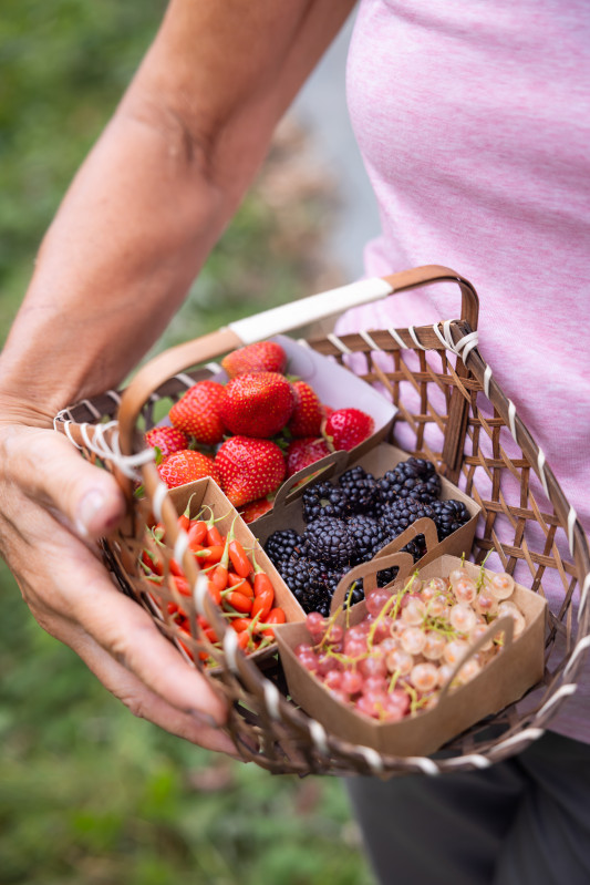 Les Petits Fruits de la Baie
