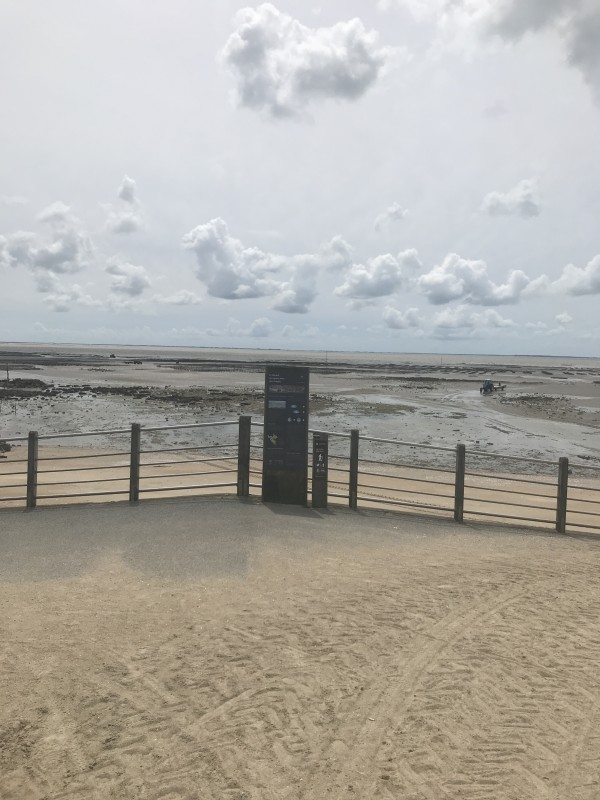 les plantes debarquees, séparation moutiers bernerie, frontière, plage, sennetière, hermitage, histoire, les moutiers en retz, la bernerie en retz