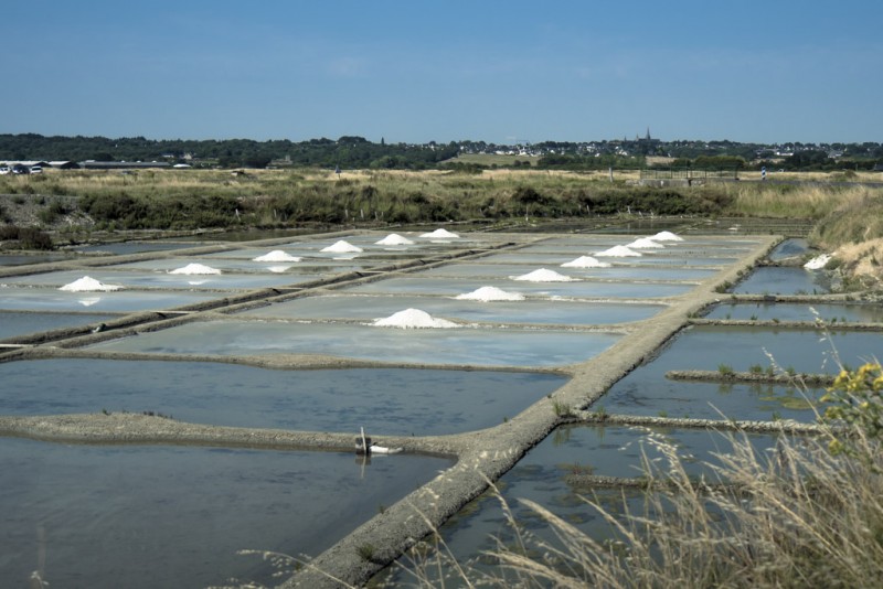 Marais Salants Guérande