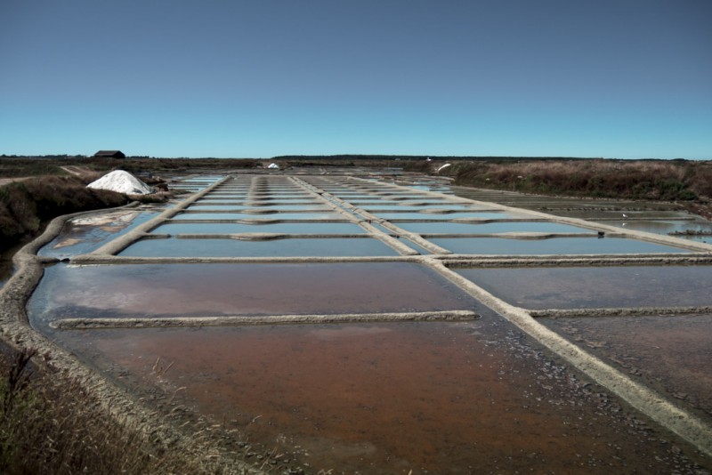 marais salants, Guérande, visite, Terre de Sel, sel,