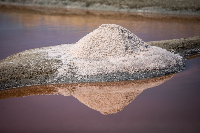 melanie daspremont, salt worker, Bourgneuf bay, salt, les moutiers en retz