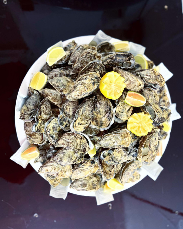 Mytilijade, la plaine sur mer, Austern, Bouchot-Muscheln, Erzeuger