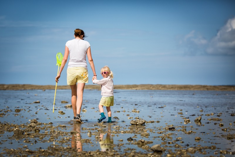 pêche  huîtres marée basse  