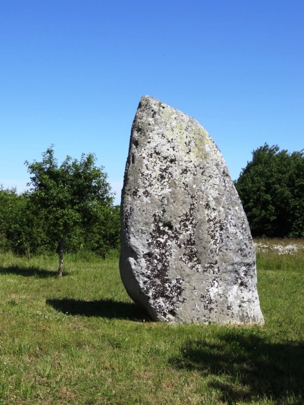 Le menhir de la Pierre-le-Matz