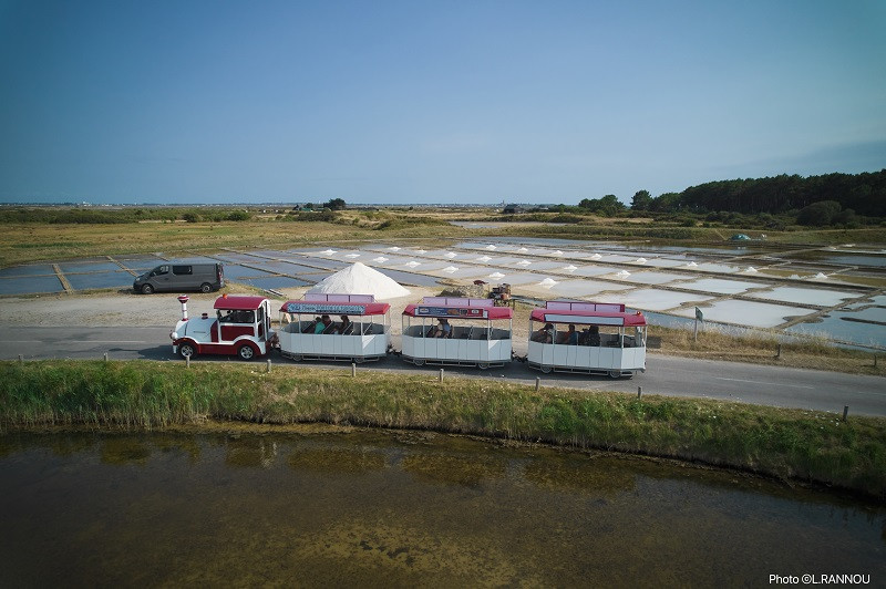 petit-train-guerande-bd-22294