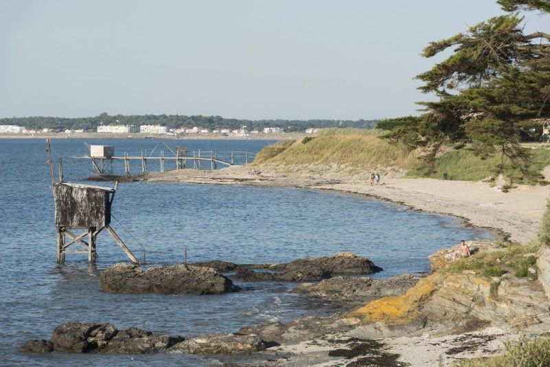 la plaine-sur-mer, plage, mer, plage de mouton, mouton, sable, pêcherie, arbres, rocher, baignade, soleil