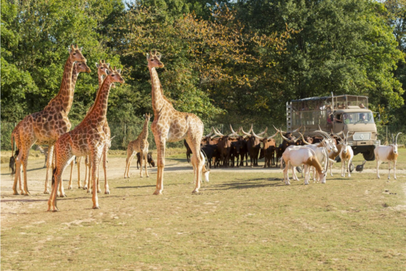 Planète sauvage Parc animalier Zoo Nantes Pornic