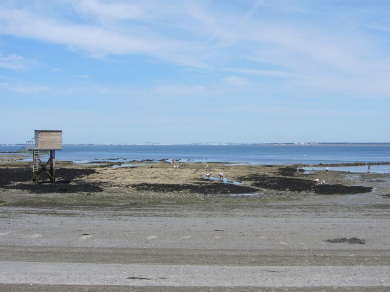 Point de vue à La Tara