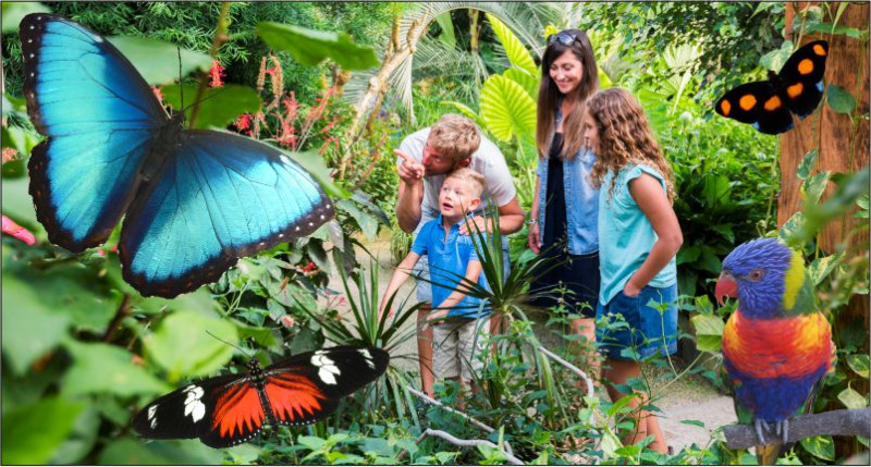 pornic-2026-ile-aux-papillons-30645