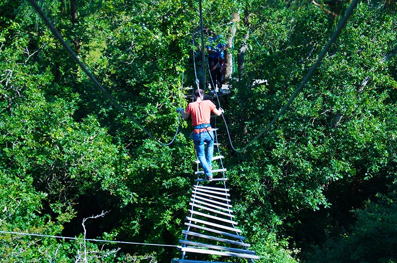 pornic escal arbres, tree climbing, activities in pornic	