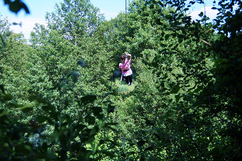 pornic escal arbres, tree climbing, activities in pornic	