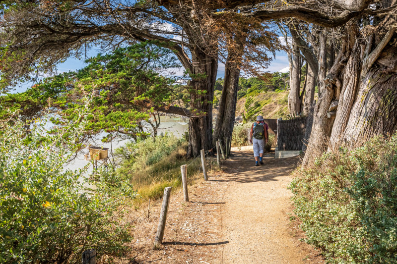 Pornic, plage de la Boutinardière