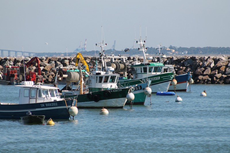 Port de la Gravette, port la plaine sur mer, la plaine sur mer, port destination pornic