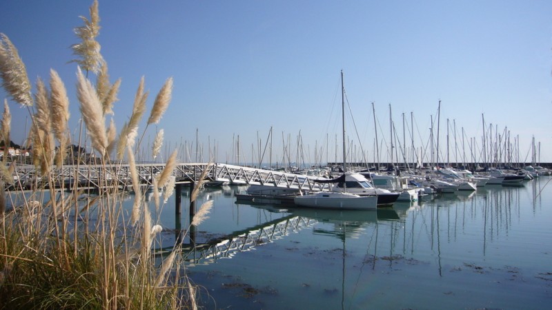 Cote et Plaisance, Noëveillard, restaurant, fish, pornic, Destination Pornic