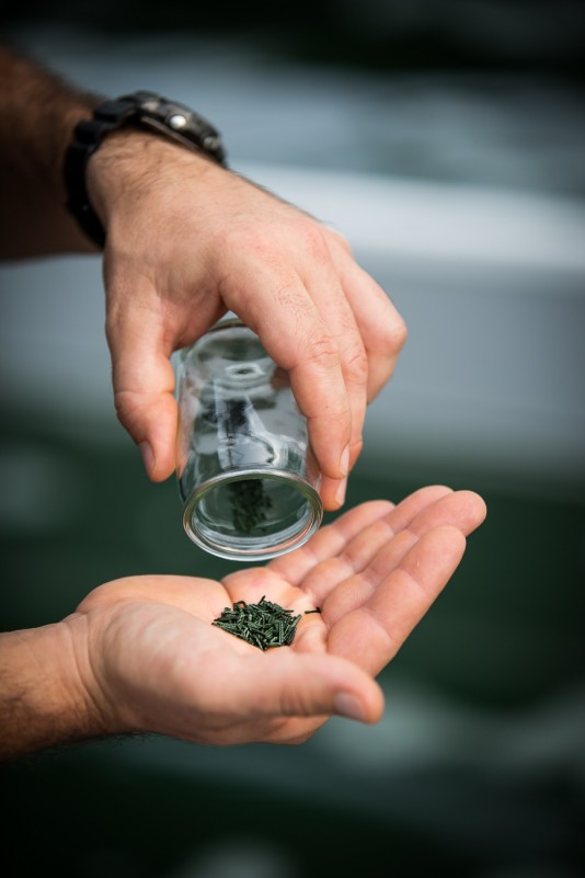 spiruline, smoothie, smoothie à la spiruline, sas baudet, spiruline de retz