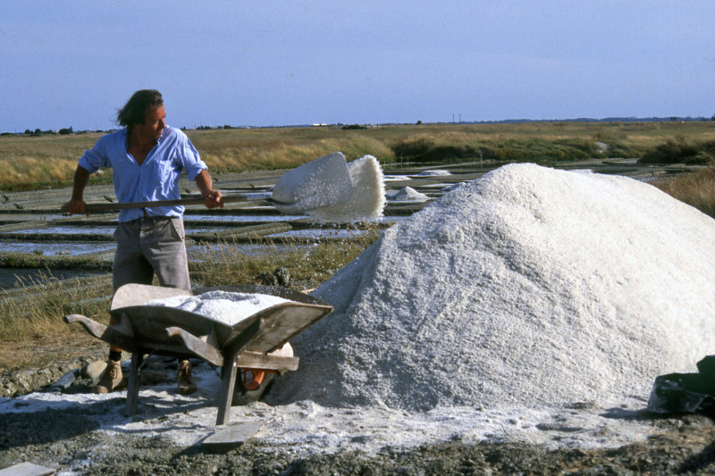 Sel de Bourgneuf-en-Retz